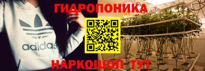 хмурый Кандалакша