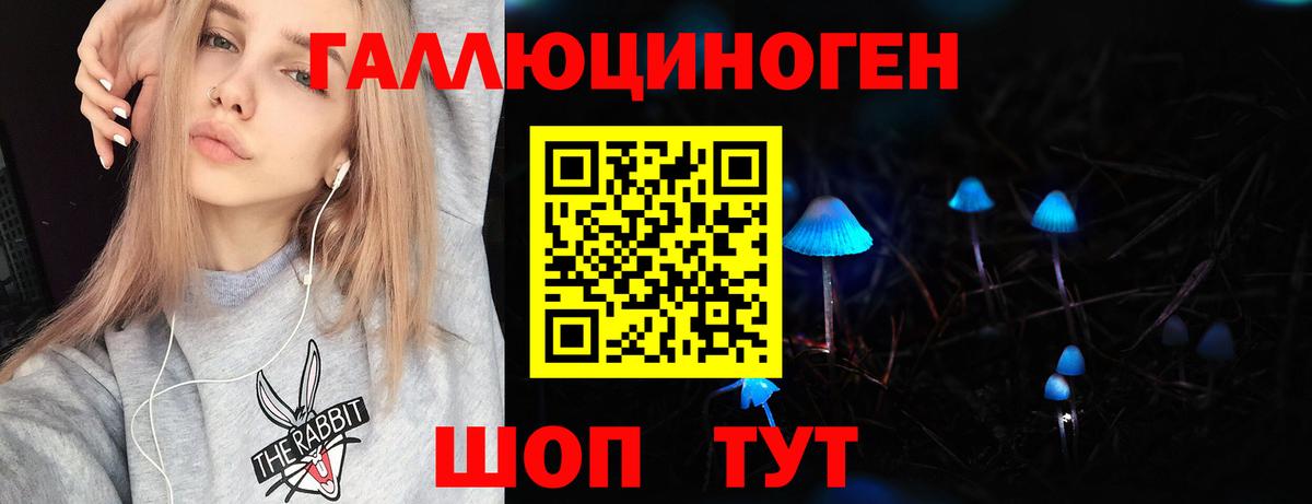 Псилоцибиновые грибы Psilocybe  Псилоцибиновые грибы Psilocybine cubensis  Вход с VPN  Ленинск-Кузнецкий 